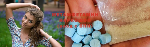 шишки Дмитриев