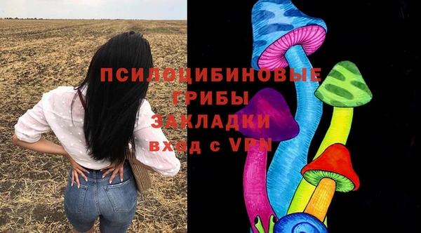 альфа пвп Гусь-Хрустальный