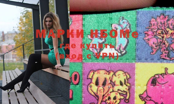 шишки Дмитриев