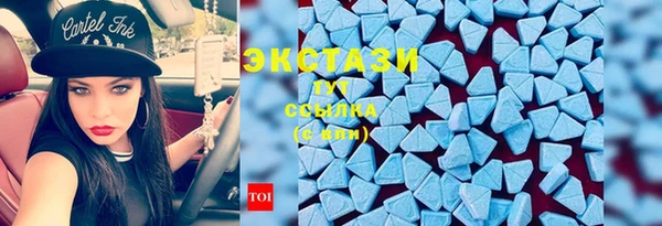 стаф Дмитровск
