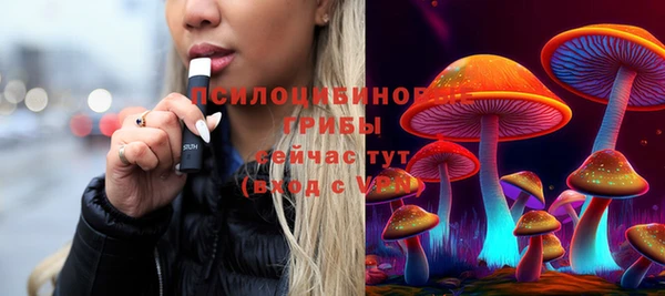 альфа пвп Гусь-Хрустальный