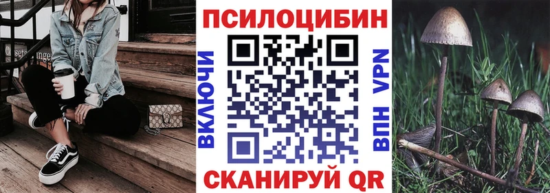 Галлюциногенные грибы Psilocybe  магазин продажи   Заволжье 