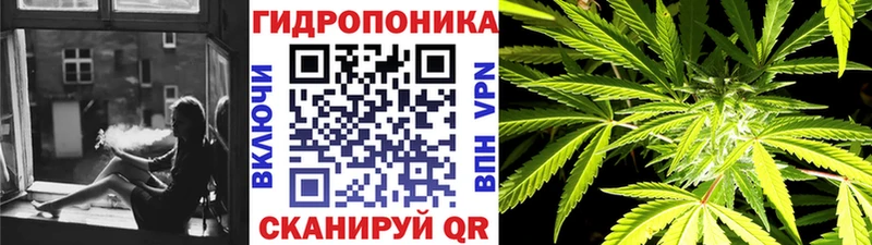 сколько стоит  Заволжье  Марихуана White Widow 